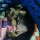 kuando juega mucho se cansa y luego se duerme